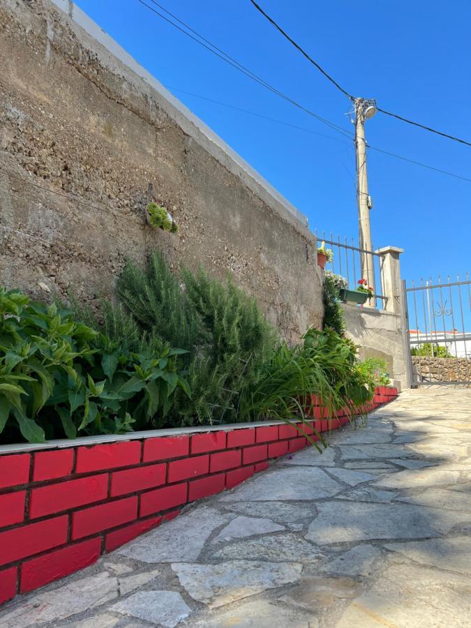 Androvic * Ulcinj